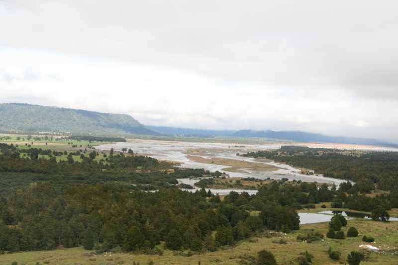 Nieuw-Zeeland 2011 - 1490